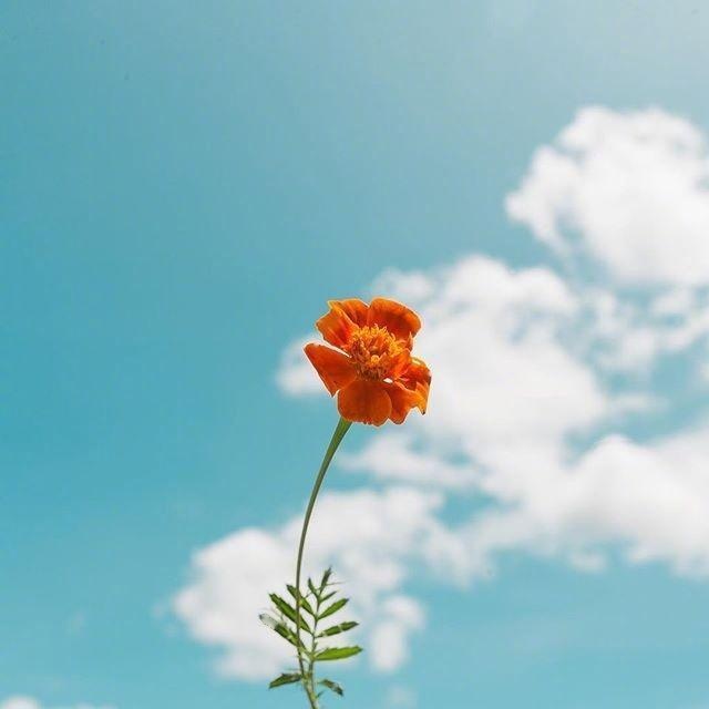 现实又很扎心的句子，句句入骨！