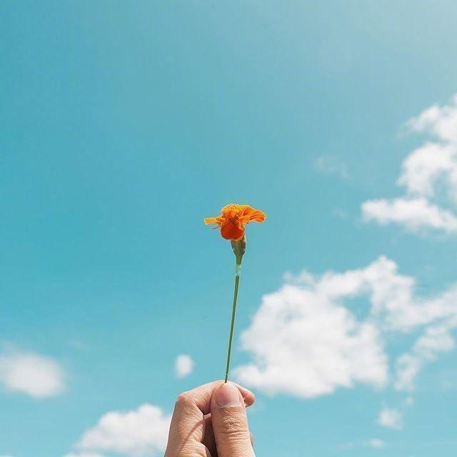 现实又很扎心的句子，句句入骨！