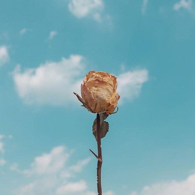 现实又很扎心的句子，句句入骨！