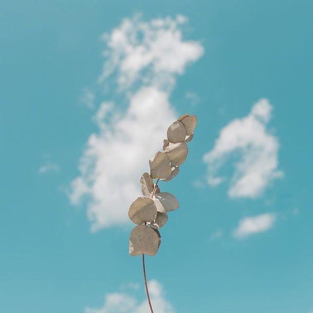 现实又很扎心的句子，句句入骨！