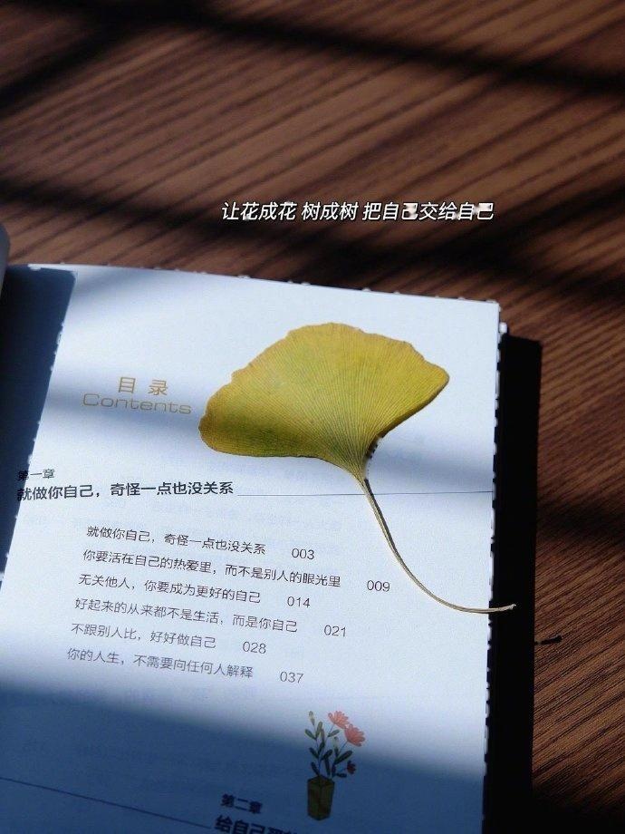 2025抒写心情的简短句子,文艺个性,独一无二!